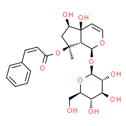 ChemSpider 2D Image | (1S,4aS,5R,7S,7aS)-1-(beta-D-Glucopyranosyloxy)-4a,5-dihydroxy-7-methyl-1,4a,5,6,7,7a-hexahydrocyclopenta[c]pyran-7-yl (2Z)-3-phenylacrylate | C24H30O11