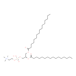 ChemSpider 2D Image | (7S)-4-Hydroxy-N,N,N-trimethyl-10-oxo-7-(palmitoyloxy)-3,5,9-trioxa-4-phosphapentacosan-1-aminium 4-oxide | C40H81NO8P