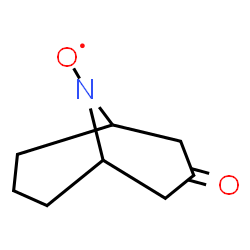 ChemSpider 2D Image | 3-Oxo-9-azabicyclo(3.3.1)non-9-yloxy | C8H12NO2