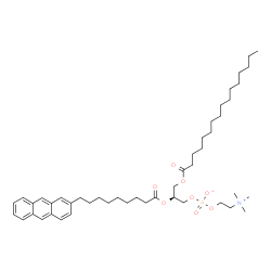 ChemSpider 2D Image | (2S)-2-{[9-(2-Anthryl)nonanoyl]oxy}-3-(palmitoyloxy)propyl 2-(trimethylammonio)ethyl phosphate | C47H74NO8P