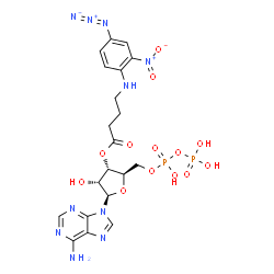 ChemSpider 2D Image | 3'-O-{4-[(4-Azido-2-nitrophenyl)amino]butanoyl}adenosine 5'-(trihydrogen diphosphate) | C20H25N10O13P2