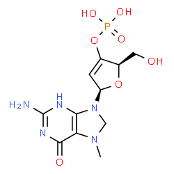 ChemSpider 2D Image | (2R,5R)-5-(2-Amino-7-methyl-6-oxo-3,6,7,8-tetrahydro-9H-purin-9-yl)-2-(hydroxymethyl)-2,5-dihydro-3-furanyl dihydrogen phosphate | C11H16N5O7P
