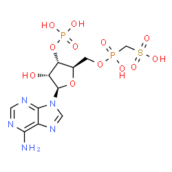 ChemSpider 2D Image | 5'-O-[Hydroxy(sulfomethyl)phosphoryl]adenosine 3'-(dihydrogen phosphate) | C11H17N5O12P2S