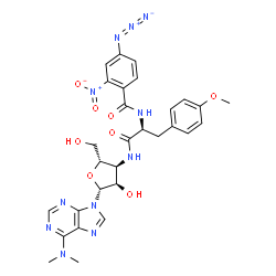 ChemSpider 2D Image | 3'-{[N-(4-Azido-2-nitrobenzoyl)-O-methyl-L-tyrosyl]amino}-3'-deoxy-N,N-dimethyladenosine | C29H32N11O8