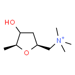 ChemSpider 2D Image | (3xi)-2,5-Anhydro-1,4,6-trideoxy-6-(trimethylammonio)-D-erythro-hexitol | C9H20NO2