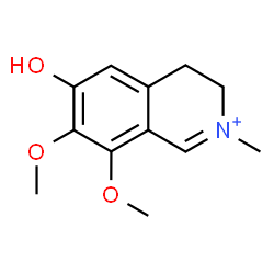 ChemSpider 2D Image | 6-Hydroxy-7,8-dimethoxy-2-methyl-3,4-dihydroisoquinolinium | C12H16NO3