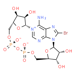 ChemSpider 2D Image | (2R,3R,4S,5R,13R,14S,15R,16R)-24-Amino-18-bromo-3,4,14,15-tetrahydroxy-7,9,11,25,26-pentaoxa-17,19,22-triaza-1-azonia-8,10-diphosphapentacyclo[18.3.1.1~2,5~.1~13,16~.0~17,21~]hexacosa-1(24),18,20,22-t
etraene-8,10-diolate 8,10-dioxide | C15H19BrN5O13P2