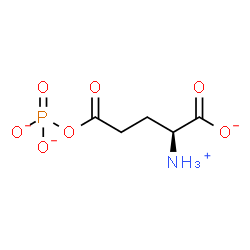 ChemSpider 2D Image | (2S)-2-Ammonio-5-oxo-5-(phosphonatooxy)pentanoatato | C5H8NO7P