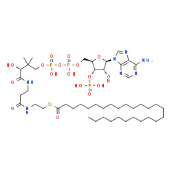 ChemSpider 2D Image | hexacosanoyl-CoA | C47H86N7O17P3S