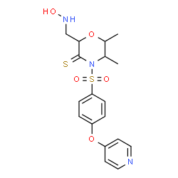 ChemSpider 2D Image | 2-[(Hydroxyamino)methyl]-5,6-dimethyl-4-{[4-(4-pyridinyloxy)phenyl]sulfonyl}-3-morpholinethione | C18H21N3O5S2
