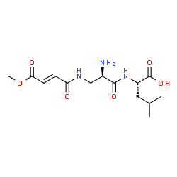ChemSpider 2D Image | 3-{[(2E)-4-Methoxy-4-oxo-2-butenoyl]amino}-D-alanyl-L-leucine | C14H23N3O6