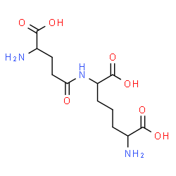 ChemSpider 2D Image | 2-Amino-6-(gamma-glutamylamino)heptanedioic acid | C12H21N3O7