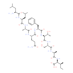 ChemSpider 2D Image | L-Leucyl-L-leucyl-L-alanyl-L-glutaminyl-L-phenylalanyl-L-threonyl-L-seryl-L-alanyl-L-isoleucine | C45H74N10O13