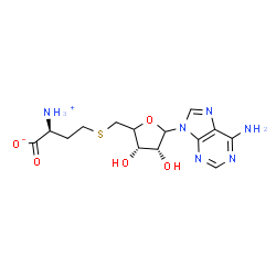 ChemSpider 2D Image | (4xi)-5'-S-[(3S)-3-ammonio-3-carboxylatopropyl]-5'-thioadenosine | C14H20N6O5S