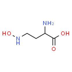ChemSpider 2D Image | 2-Amino-4-(hydroxyamino)butanoic acid | C4H10N2O3