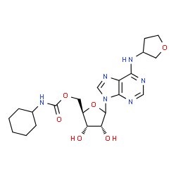 ChemSpider 2D Image | 5'-O-(cyclohexylcarbamoyl)-N-(tetrahydrofuran-3-yl)adenosine | C21H30N6O6