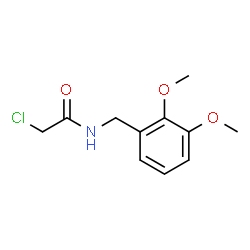 ChemSpider 2D Image | 2-Chloro-N-(2,3-dimethoxybenzyl)acetamide | C11H14ClNO3