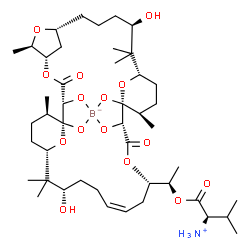ChemSpider 2D Image | [(2R)-1-{(1R)-1-[(1R,2R,5S,6R,8R,12R,14S,17R,18R,19R,22S,24Z,28S,30S,33R)-12,28-Dihydroxy-1,2,18,19-tetra(hydroxy-kappaO)-6,13,13,17,29,29,33-heptamethyl-3,20-dioxo-4,7,21,34,35-pentaoxatetracyclo[28.3.1.1~5,8~.1~14,18~]hexatriacont-24-en-22-yl]ethoxy}-3-methyl-1-oxobutan-2-aminiumato(4-)]boron | C45H74BNO15