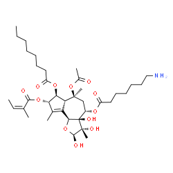 ChemSpider 2D Image | (2S,3S,3aR,4S,6S,6aR,7S,8S,9bS)-6-Acetoxy-4-[(7-aminoheptanoyl)oxy]-2,3,3a-trihydroxy-3,6,9-trimethyl-8-{[(2Z)-2-methyl-2-butenoyl]oxy}-2,3,3a,4,5,6,6a,7,8,9b-decahydroazuleno[4,5-b]furan-7-yl octanoa
te | C37H59NO12