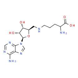 ChemSpider 2D Image | 2-Amino-5-({[(2R,3S,4R,5R)-5-(6-amino-9H-purin-9-yl)-3,4-dihydroxytetrahydro-2-furanyl]methyl}amino)pentanoic acid | C15H23N7O5