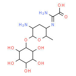 ChemSpider 2D Image | 2,3,4,5,6-Pentahydroxycyclohexyl 2-amino-4-{[carboxy(imino)methyl]amino}-2,3,4,6-tetradeoxyhexopyranoside | C14H25N3O9