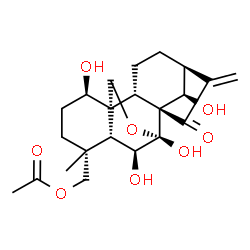 ChemSpider 2D Image | (1beta,5beta,6beta,8alpha,9beta,10alpha,13alpha,14R)-1,6,7,14-Tetrahydroxy-15-oxo-7,20-epoxykaur-16-en-18-yl acetate | C22H30O8