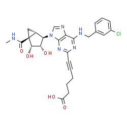 ChemSpider 2D Image | 6-{6-[(3-Chlorobenzyl)amino]-9-[(1S,2R,3S,4R,5S)-3,4-dihydroxy-5-(methylcarbamoyl)bicyclo[3.1.0]hex-2-yl]-9H-purin-2-yl}-5-hexynoic acid | C26H27ClN6O5