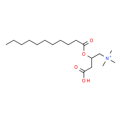 ChemSpider 2D Image | 3-Carboxy-N,N,N-trimethyl-2-(undecanoyloxy)-1-propanaminium | C18H36NO4