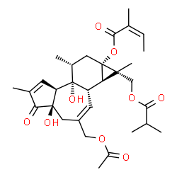 ChemSpider 2D Image | (1S,1aR,1bS,4aR,7aS,7bR,8R,9aS)-3-(Acetoxymethyl)-4a,7b-dihydroxy-1-[(isobutyryloxy)methyl]-1,6,8-trimethyl-5-oxo-1,1a,1b,4,4a,5,7a,7b,8,9-decahydro-9aH-cyclopropa[3,4]benzo[1,2-e]azulen-9a-yl (2Z)-2-
methyl-2-butenoate | C31H42O9