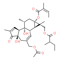 ChemSpider 2D Image | (1S,1aR,1bS,4aR,7aS,7bR,8R,9aS)-3-(Acetoxymethyl)-4a,7b-dihydroxy-1,6,8-trimethyl-1-{[(2-methylbutanoyl)oxy]methyl}-5-oxo-1,1a,1b,4,4a,5,7a,7b,8,9-decahydro-9aH-cyclopropa[3,4]benzo[1,2-e]azulen-9a-yl
 (2Z)-2-methyl-2-butenoate | C32H44O9