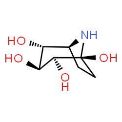 ChemSpider 2D Image | (1S,2S,3S,4R,5S)-8-Azabicyclo[3.2.1]octane-1,2,3,4-tetrol | C7H13NO4