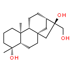ChemSpider 2D Image | (1S,4S,5R,9S,10R,13S,14S)-14-(Hydroxymethyl)-5,9-dimethyltetracyclo[11.2.1.0~1,10~.0~4,9~]hexadecane-5,14-diol | C19H32O3