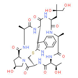 ChemSpider 2D Image | (1S,13S,17S,19S,22S,27S,30S,33S)-27-[(2R)-2,3-Dihydroxy-2-methylpropyl]-17-hydroxy-33-[(1R)-1-hydroxyethyl]-22,30-dimethyl-11-thia-9,15,21,24,26,29,32,35-octaazapentacyclo[11.11.11.0~2,10~.0~3,8~.0~15
,19~]pentatriaconta-2(10),3,5,7-tetraene-14,20,23,25,28,31,34-heptone | C34H46N8O11S