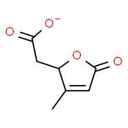 ChemSpider 2D Image | (3-Methyl-5-oxo-2,5-dihydro-2-furanyl)acetate | C7H7O4