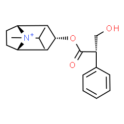 ChemSpider 2D Image | (3-endo,8-syn)-3-{[(2S)-3-Hydroxy-2-phenylpropanoyl]oxy}-8-isopropyl-8-methyl-8-azoniabicyclo[3.2.1]octane | C20H30NO3