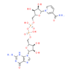 ChemSpider 2D Image | [(2R,3S,4R,5R)-5-(2-amino-6-oxo-3H-purin-9-yl)-3,4-dihydroxy-tetrahydrofuran-2-yl]methyl [[(2R,3S,4R,5R)-5-(3-carbamoylpyridin-1-ium-1-yl)-3,4-dihydroxy-tetrahydrofuran-2-yl]methoxy-hydroxy-phosphoryl] hydrogen phosphate | C21H28N7O15P2