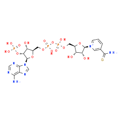 ChemSpider 2D Image | [[(2R,3R,4R,5R)-5-(6-aminopurin-9-yl)-3-hydroxy-4-phosphonooxy-tetrahydrofuran-2-yl]methoxy-hydroxy-phosphoryl] [(2R,3S,4R,5R)-5-(3-carbamothioylpyridin-1-ium-1-yl)-3,4-dihydroxy-tetrahydrofuran-2-yl]methyl hydrogen phosphate | C21H29N7O16P3S