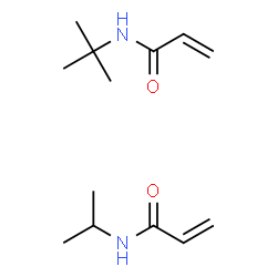 ChemSpider 2D Image | N-(2-Methyl-2-propanyl)acrylamide - N-isopropylacrylamide (1:1) | C13H24N2O2