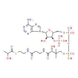 ChemSpider 2D Image | 2-hydroxypropanoyl CoA | C24H40N7O18P3S