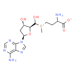 ChemSpider 2D Image | 2-Amino-4-{[(R)-[(2S,3S,5R)-5-(6-amino-9H-purin-9-yl)-3-hydroxytetrahydro-2-furanyl](hydroxy)methyl](methyl)sulfonio}butanoate | C15H22N6O5S
