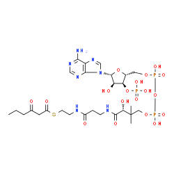 ChemSpider 2D Image | 3-Oxohexanoyl-CoA | C27H44N7O18P3S
