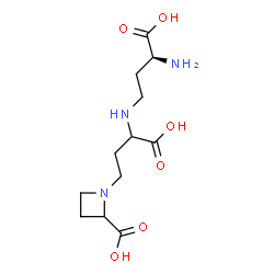 ChemSpider 2D Image | 1-(3-{[(3S)-3-Amino-3-carboxypropyl]amino}-3-carboxypropyl)-2-azetidinecarboxylic acid | C12H21N3O6