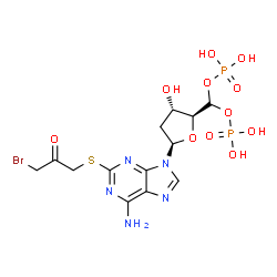 ChemSpider 2D Image | [(2S,3S,5R)-5-{6-Amino-2-[(3-bromo-2-oxopropyl)sulfanyl]-9H-purin-9-yl}-3-hydroxytetrahydro-2-furanyl]methylene bis[dihydrogen (phosphate)] | C13H18BrN5O11P2S