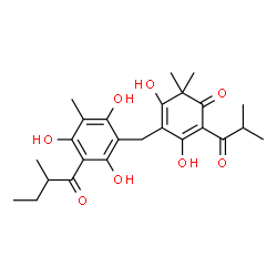 ChemSpider 2D Image | 3,5-Dihydroxy-2-isobutyryl-6,6-dimethyl-4-[2,4,6-trihydroxy-3-methyl-5-(2-methylbutanoyl)benzyl]-2,4-cyclohexadien-1-one | C25H32O8