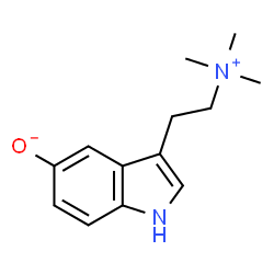 ChemSpider 2D Image | Bufotenidine | C13H18N2O
