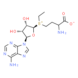 ChemSpider 2D Image | 2-Amino-4-{[(2R,3S,4R,5R)-5-(6-amino-9H-purin-9-yl)-3,4-dihydroxytetrahydro-2-furanyl](ethyl)sulfonio}butanoate | C15H22N6O5S