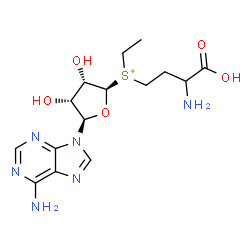 ChemSpider 2D Image | (3-Amino-3-carboxypropyl)[(2R,3S,4R,5R)-5-(6-amino-9H-purin-9-yl)-3,4-dihydroxytetrahydro-2-furanyl]ethylsulfonium | C15H23N6O5S