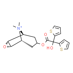 ChemSpider 2D Image | (1R,2S,4R,5S)-7-[2-Hydroxy(di-2-thienyl)acetoxy]-9,9-dimethyl-3-oxa-9-azoniatricyclo[3.3.1.0~2,4~]nonane | C19H22NO4S2