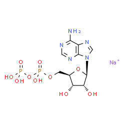 ChemSpider 2D Image | Adenosine, 5'-(trihydrogen diphosphate), sodium salt (1:1) | C10H15N5NaO10P2