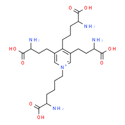ChemSpider 2D Image | 6-[4-(4-Amino-4-carboxybutyl)-3,5-bis(3-amino-3-carboxypropyl)-1-pyridiniumyl]norleucine | C24H40N5O8